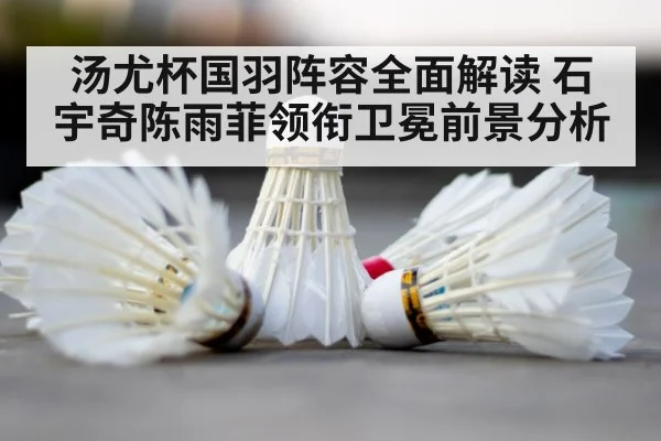 badminton court shuttlecock